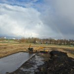 natuurherstel westzaan