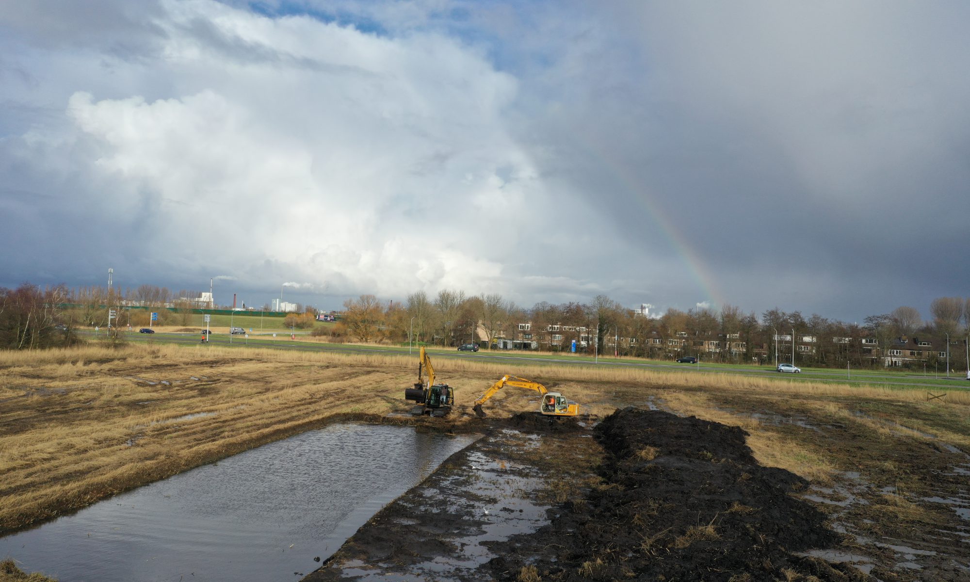 natuurherstel westzaan